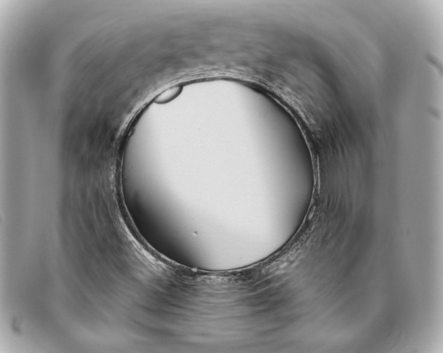 X0000093501500200710261128