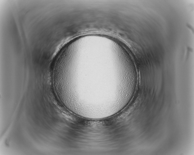 X0000093501501200710261128