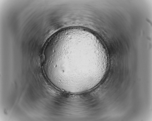 X0000093501505200710261128