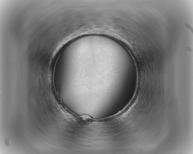 X0000093501506200710261128