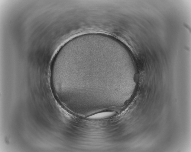 X0000093501508200710261128