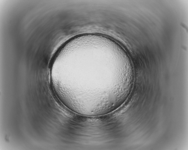 X0000093501509200710261128