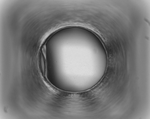 X0000093501511200710261128