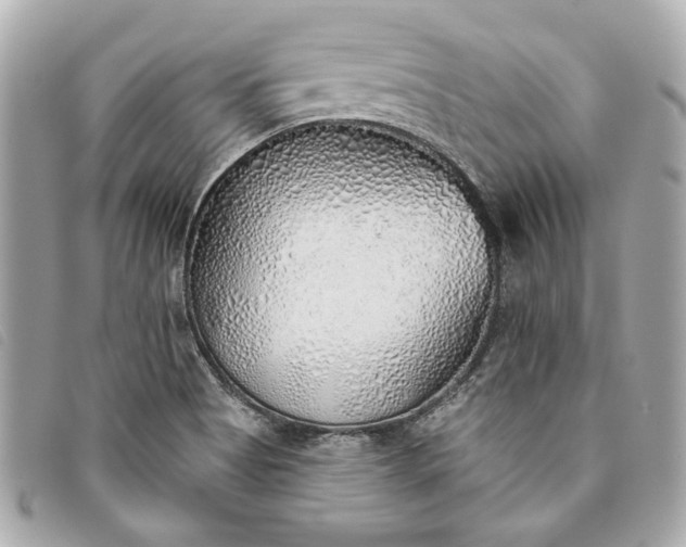 X0000093501513200710261128