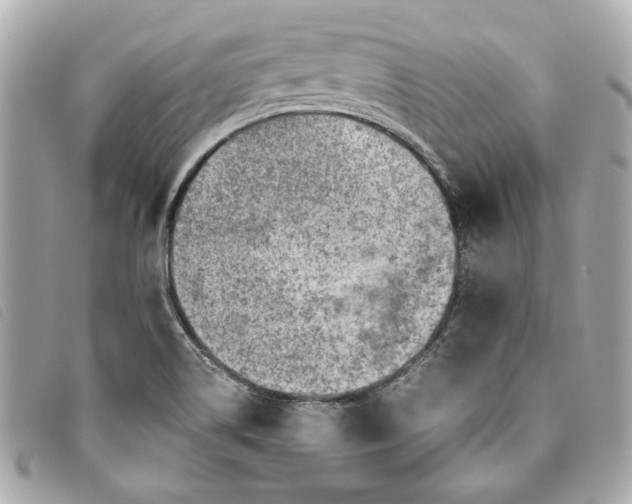 X0000093501514200710261128