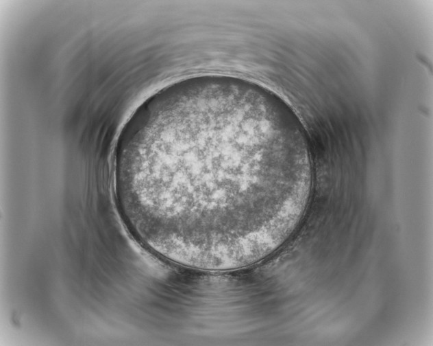 X0000093501515200710261128
