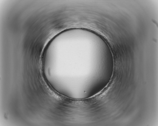 X0000093501517200710261128