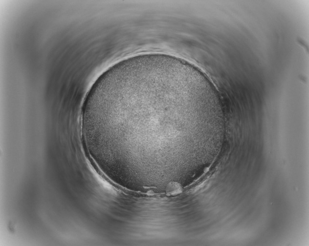 X0000093501519200710261128