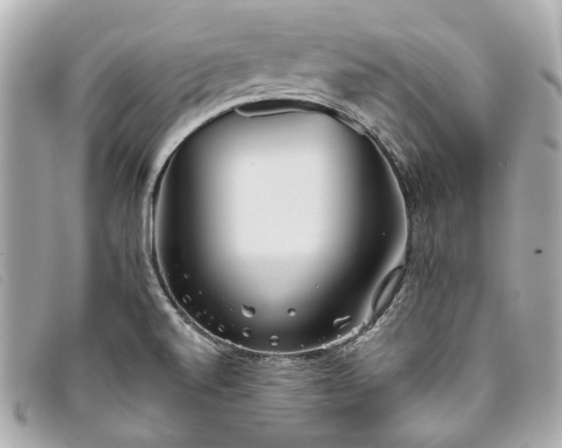 X0000093501520200710261128