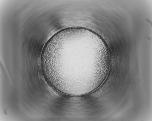 X0000093501521200710261128