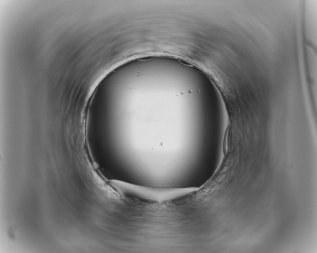 X0000093501524200710261128