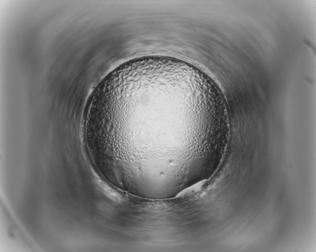 X0000093501525200710261128