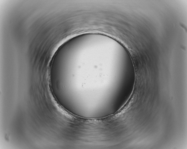 X0000093501526200710261128