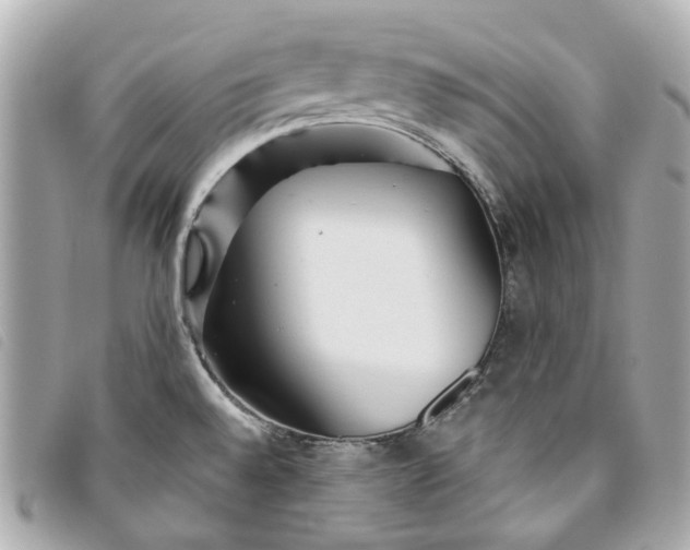 X0000093501528200710261128