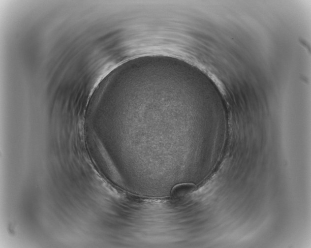 X0000093501529200710261128