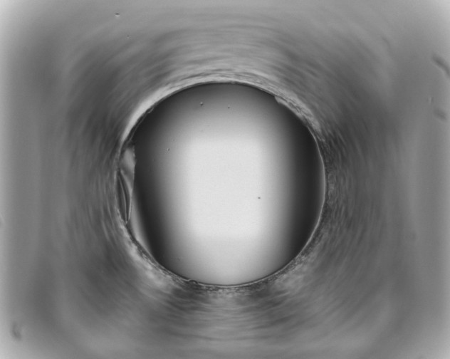 X0000093501530200710261128
