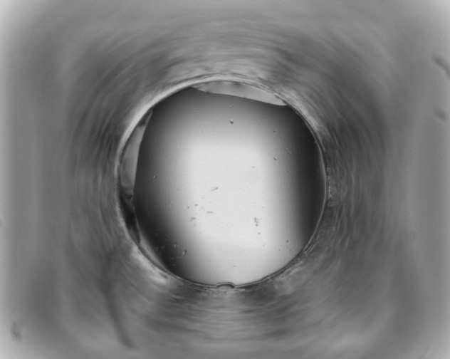 X0000093501532200710261128