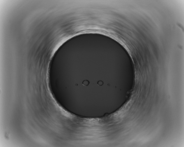 X0000093501533200710261128