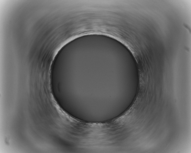 X0000093501534200710261128