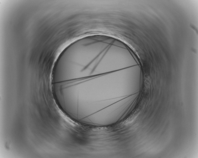 X0000093501535200710261128