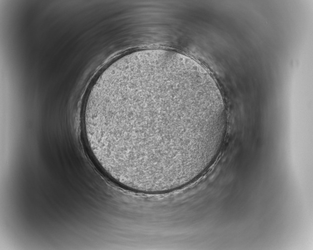 X0000093500002200711021018