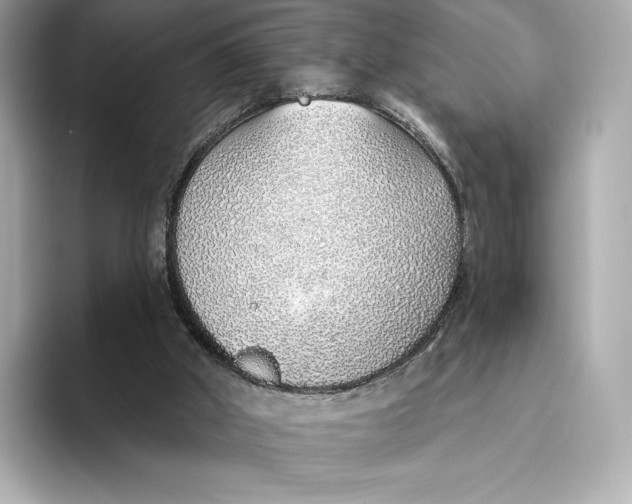 X0000093500010200711021018