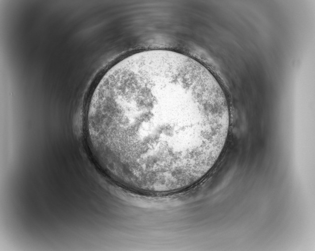 X0000093500012200711021018