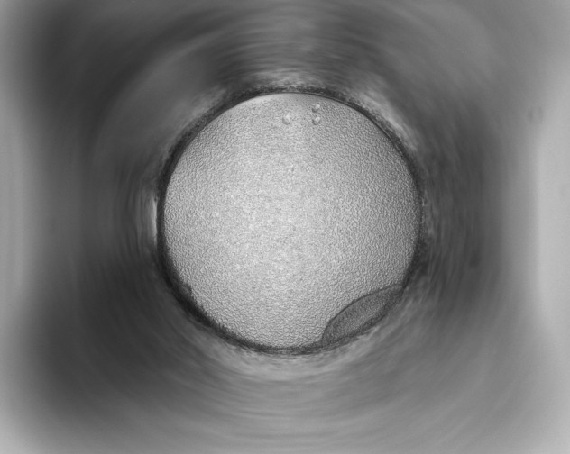X0000093500014200711021018