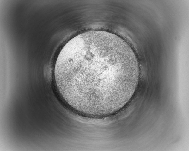 X0000093500016200711021018