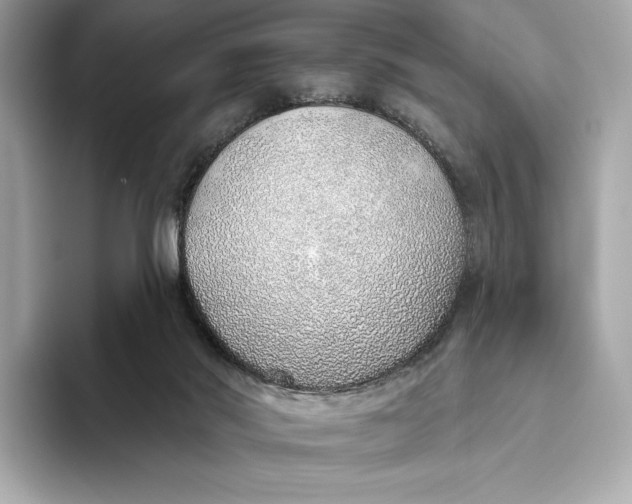 X0000093500022200711021018