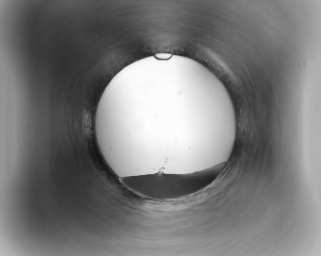 X0000093500025200711021018
