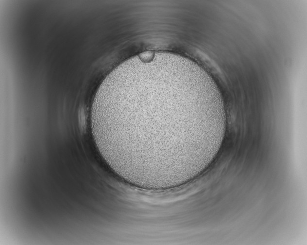 X0000093500026200711021018