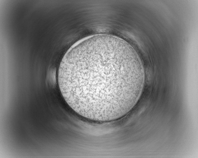 X0000093500028200711021018