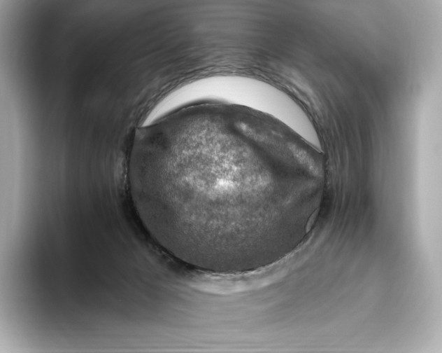 X0000093500029200711021018