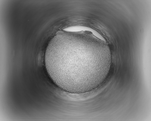 X0000093500030200711021018