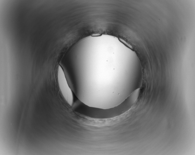X0000093500037200711021018