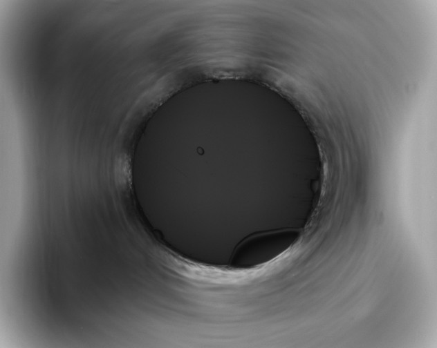 X0000093500048200711021017