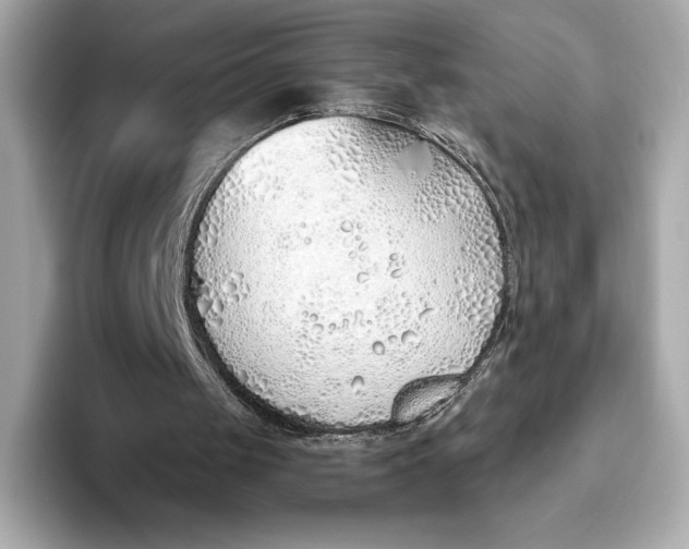 X0000093500049200711021017
