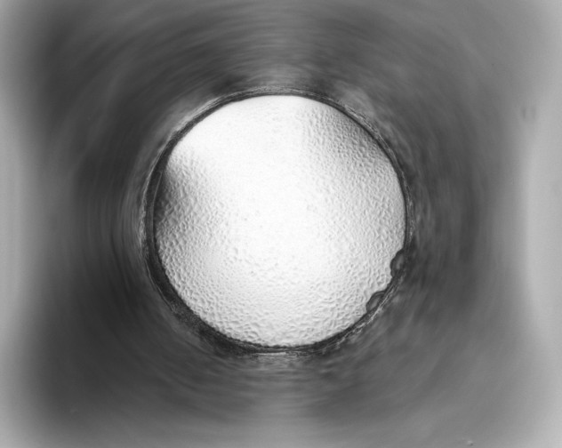 X0000093500050200711021017