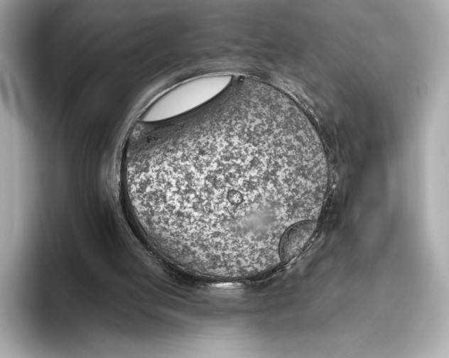 X0000093500053200711021017
