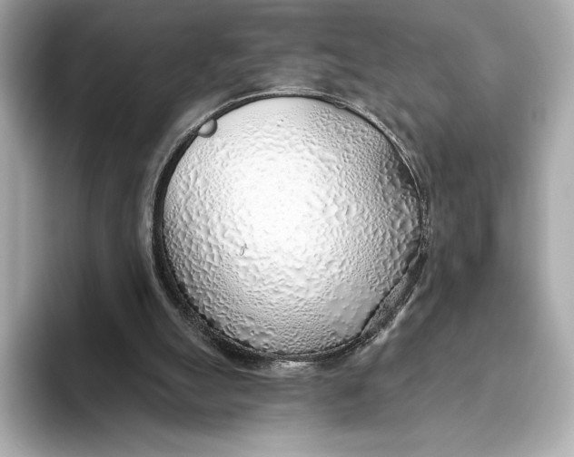 X0000093500055200711021017
