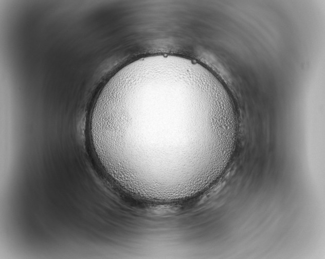 X0000093500058200711021017