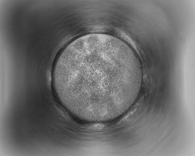 X0000093500059200711021017