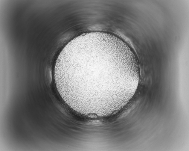 X0000093500061200711021017