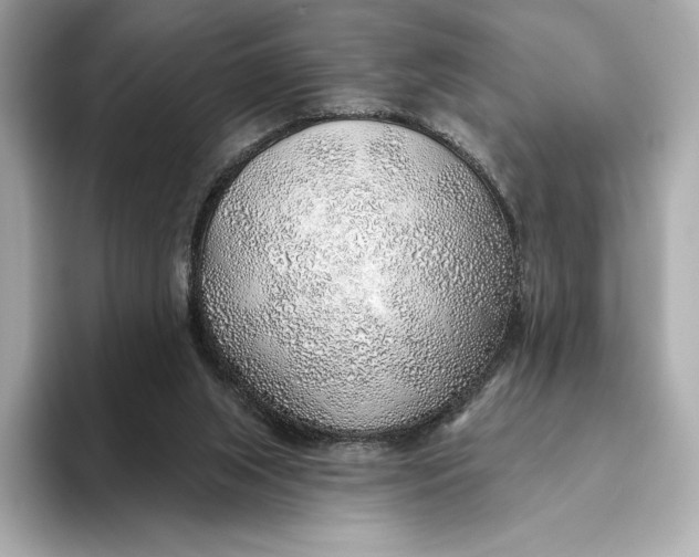 X0000093500063200711021017