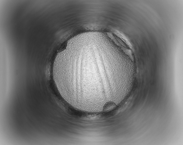 X0000093500065200711021017