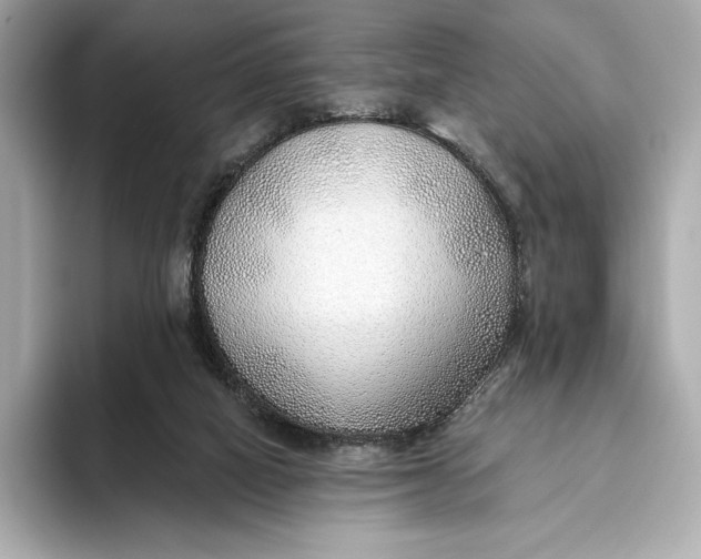 X0000093500066200711021017