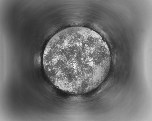 X0000093500067200711021017