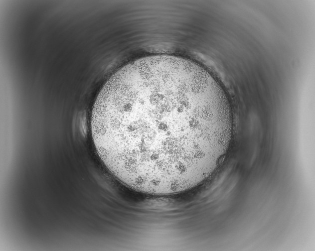 X0000093500069200711021017