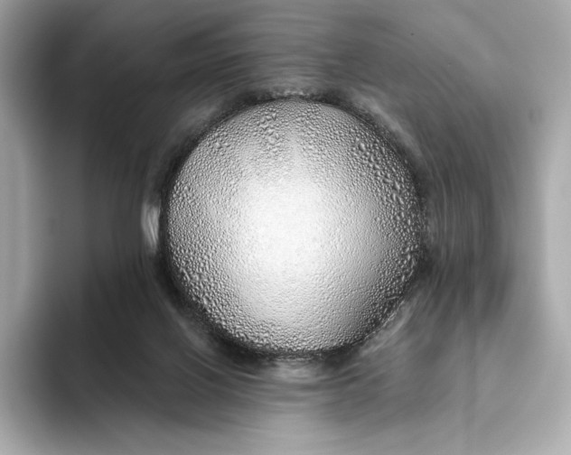 X0000093500070200711021017